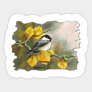 Aspen Chickadee Sticker